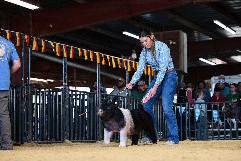 25GTT- RingAHamps-4965.jpg