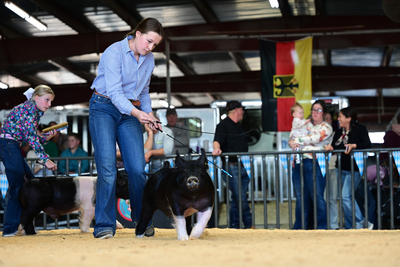 25GTT- RingAHamps-4968.jpg