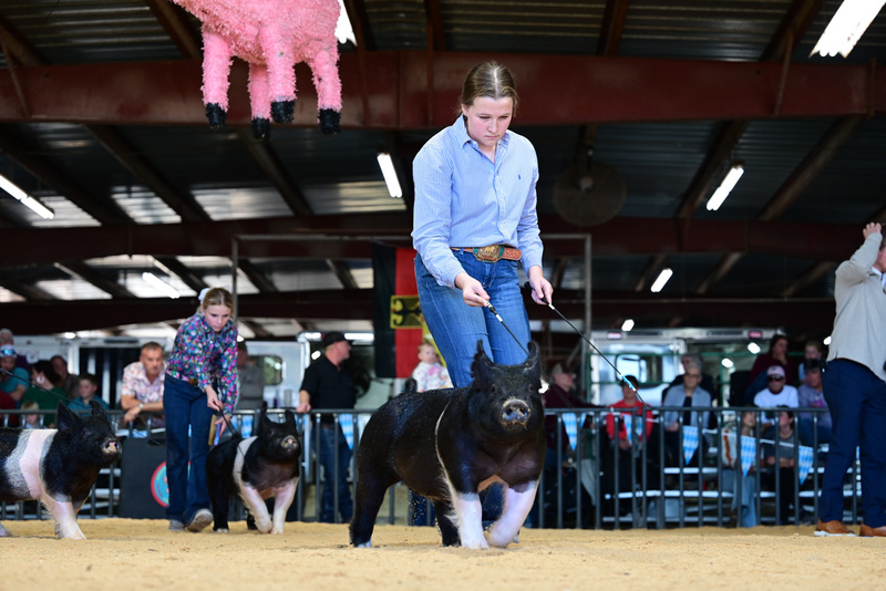 25GTT- RingAHamps-4971.jpg