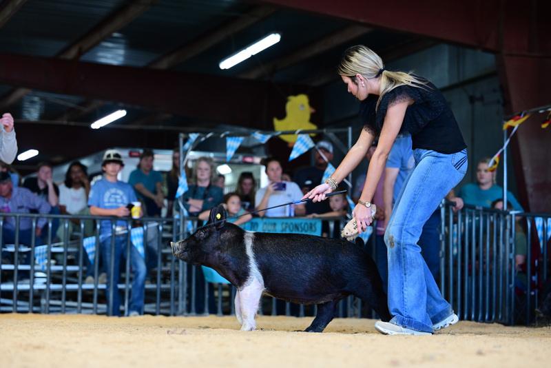 25GTT- RingAHamps-4972.jpg