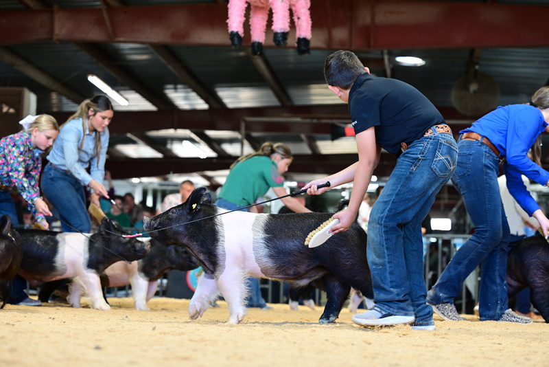 25GTT- RingAHamps-4981.jpg