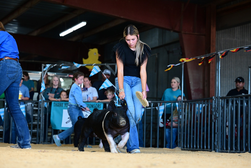 25GTT- RingAHamps-4983.jpg