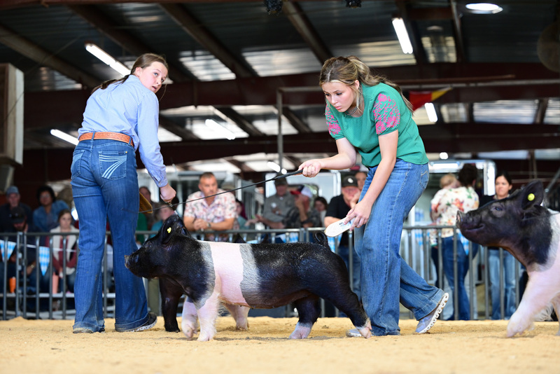 25GTT- RingAHamps-4988.jpg