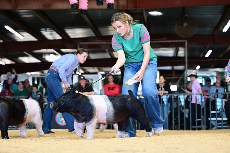 25GTT- RingAHamps-4995.jpg