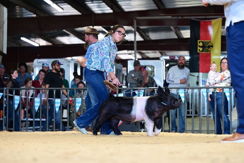 25GTT- RingAHamps-5002.jpg