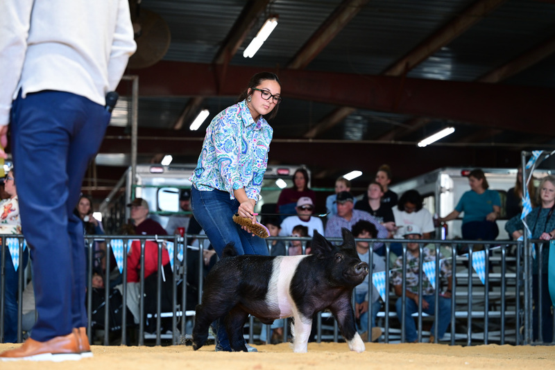 25GTT- RingAHamps-5004.jpg