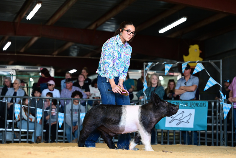 25GTT- RingAHamps-5006.jpg