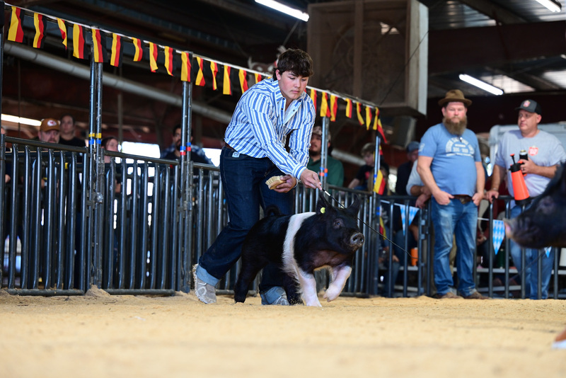 25GTT- RingAHamps-5009.jpg