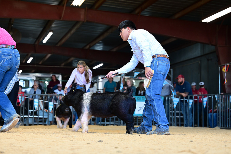 25GTT- RingAHamps-5014.jpg