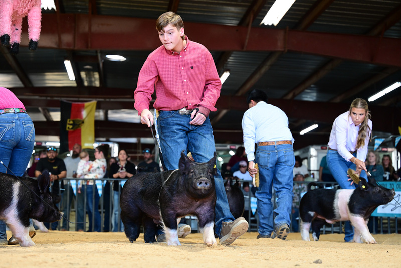 25GTT- RingAHamps-5015.jpg