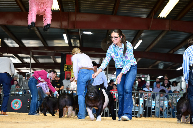 25GTT- RingAHamps-5017.jpg