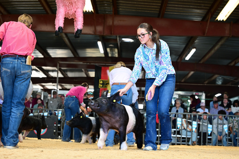 25GTT- RingAHamps-5018.jpg