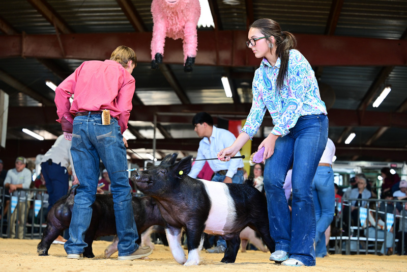 25GTT- RingAHamps-5019.jpg