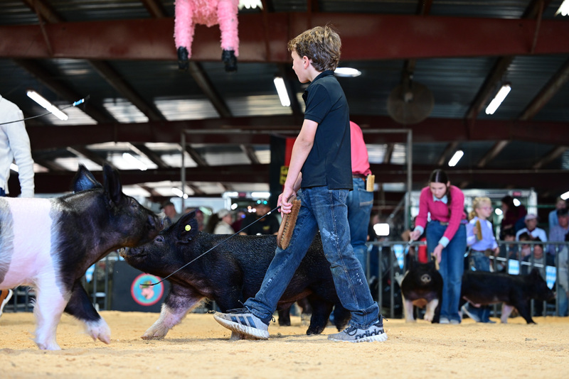 25GTT- RingAHamps-5020.jpg