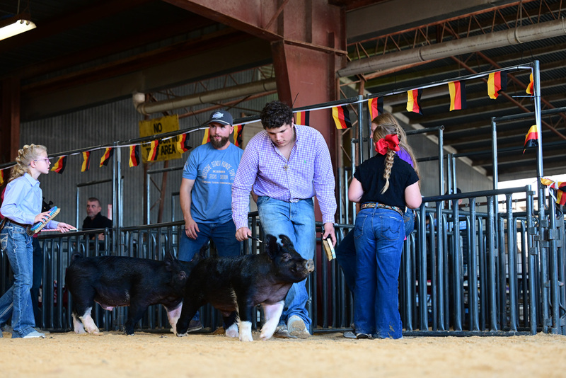 25GTT- RingAHamps-5021.jpg