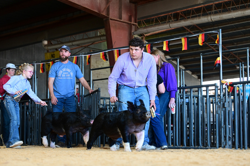 25GTT- RingAHamps-5022.jpg