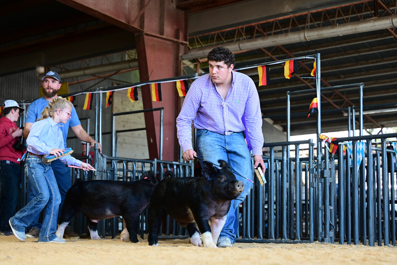 25GTT- RingAHamps-5023.jpg