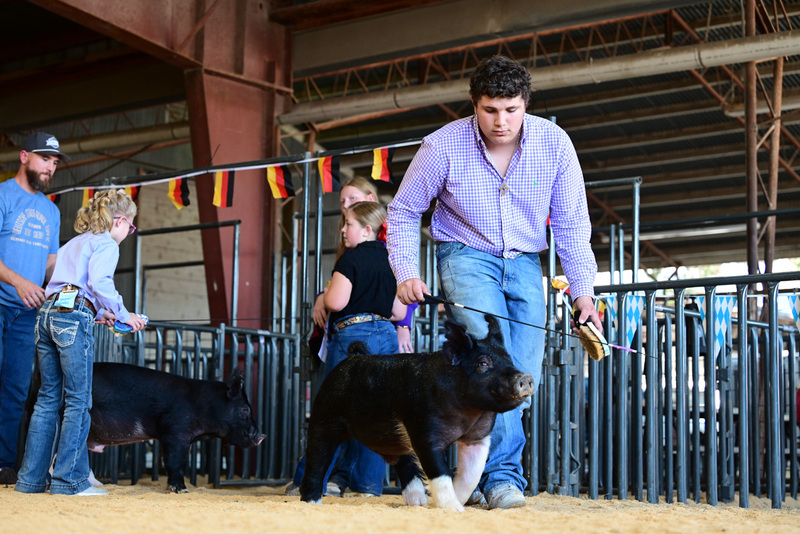 25GTT- RingAHamps-5024.jpg