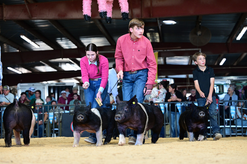 25GTT- RingAHamps-5025.jpg