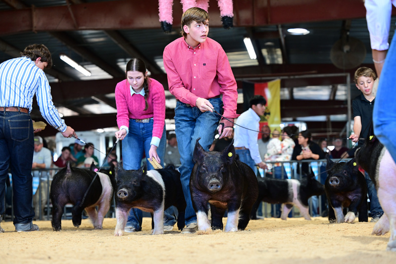 25GTT- RingAHamps-5026.jpg