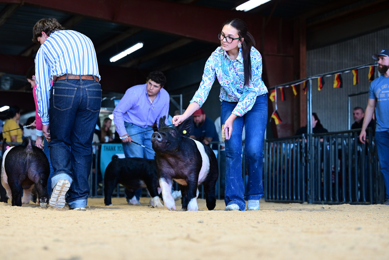 25GTT- RingAHamps-5027.jpg