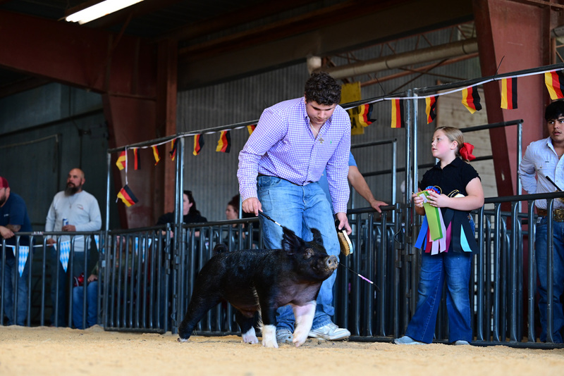 25GTT- RingAHamps-5028.jpg