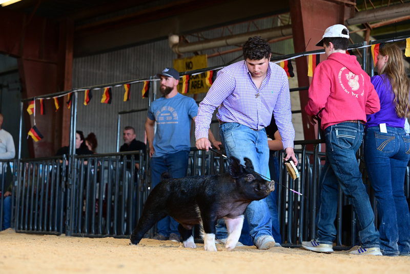 25GTT- RingAHamps-5029.jpg