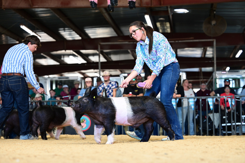 25GTT- RingAHamps-5039.jpg