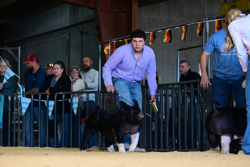 25GTT- RingAHamps-5041.jpg