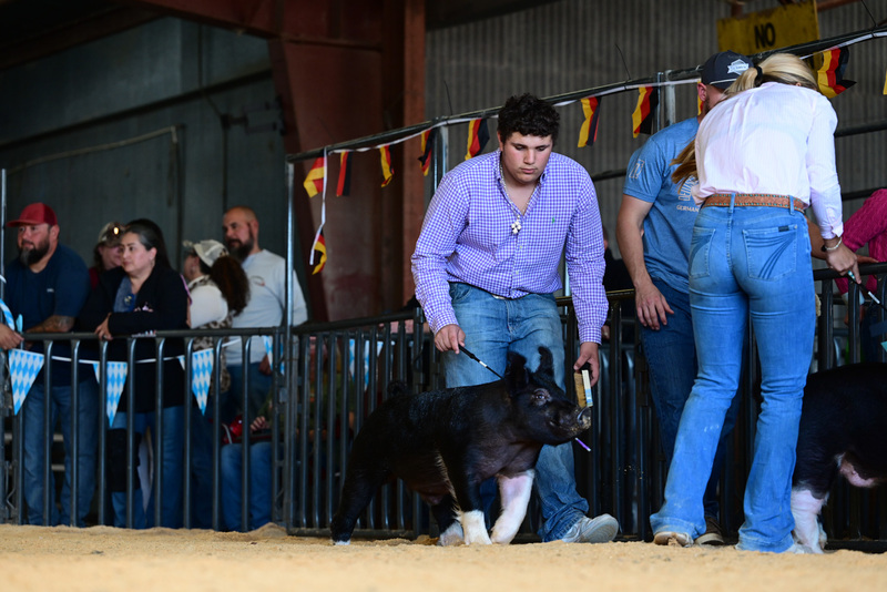 25GTT- RingAHamps-5042.jpg