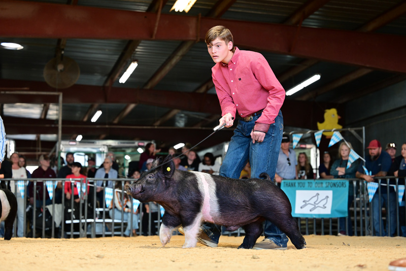 25GTT- RingAHamps-5043.jpg