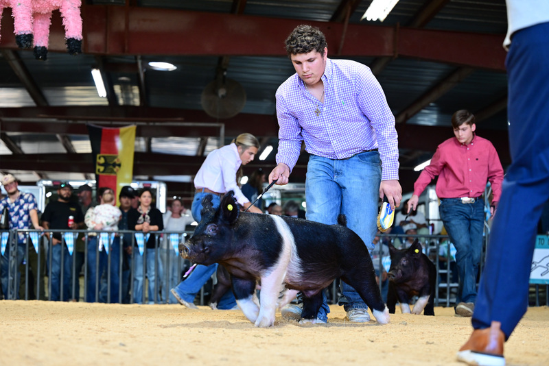 25GTT- RingAHamps-5047.jpg