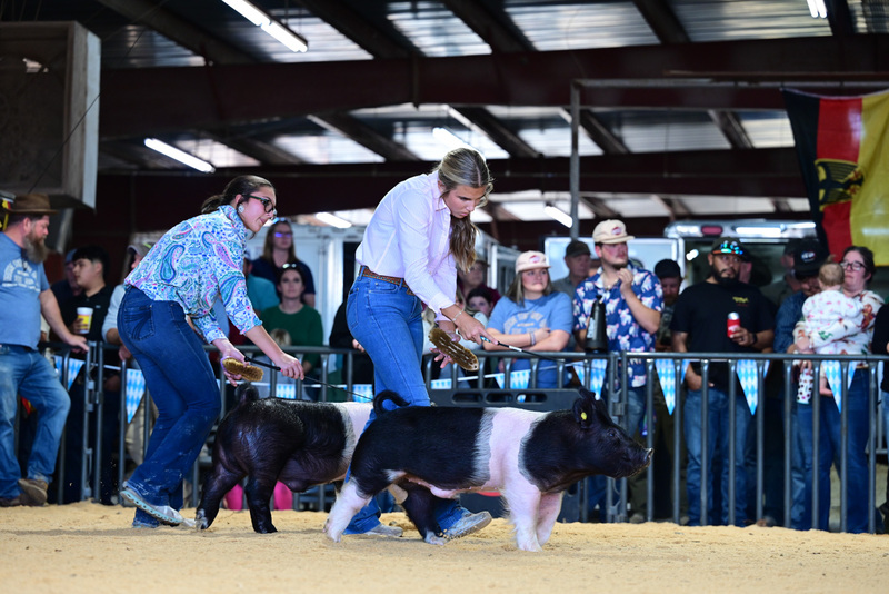 25GTT- RingAHamps-5056.jpg