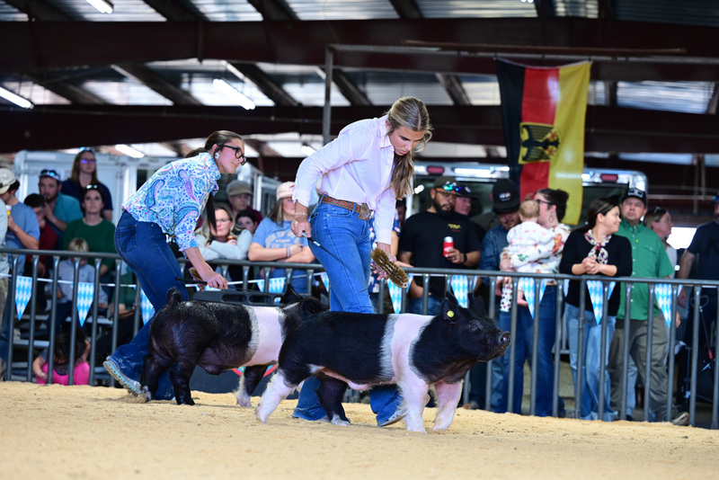 25GTT- RingAHamps-5057.jpg