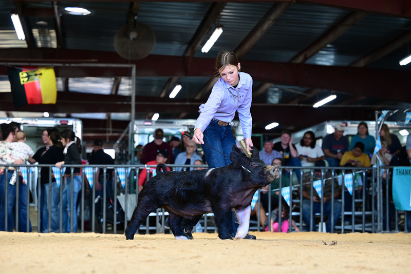 25GTT- RingAHamps-5065.jpg