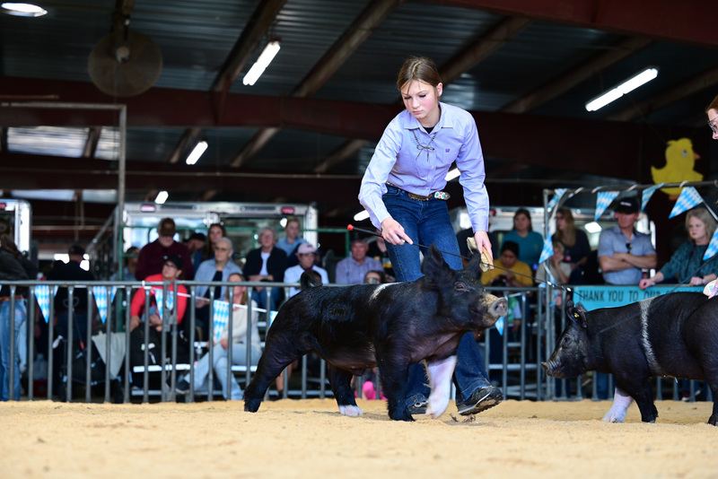 25GTT- RingAHamps-5066.jpg