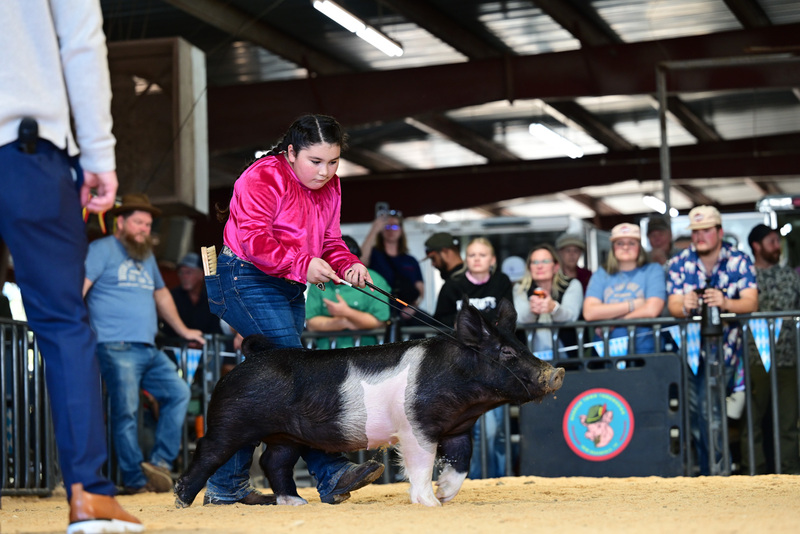 25GTT- RingAHamps-5067.jpg