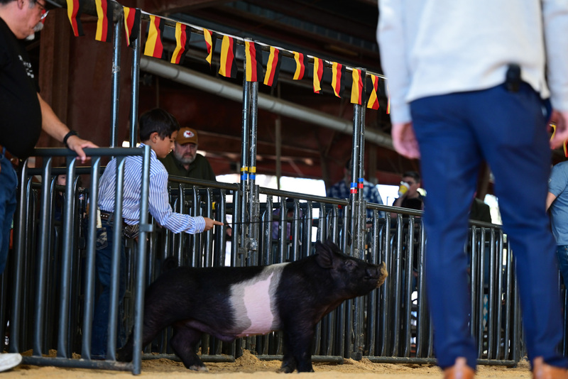 25GTT- RingAHamps-5069.jpg