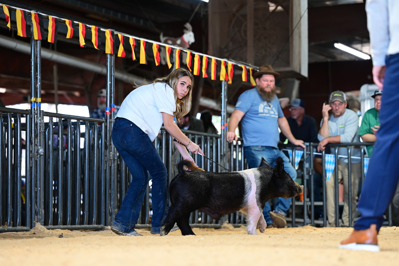 25GTT- RingAHamps-5072.jpg