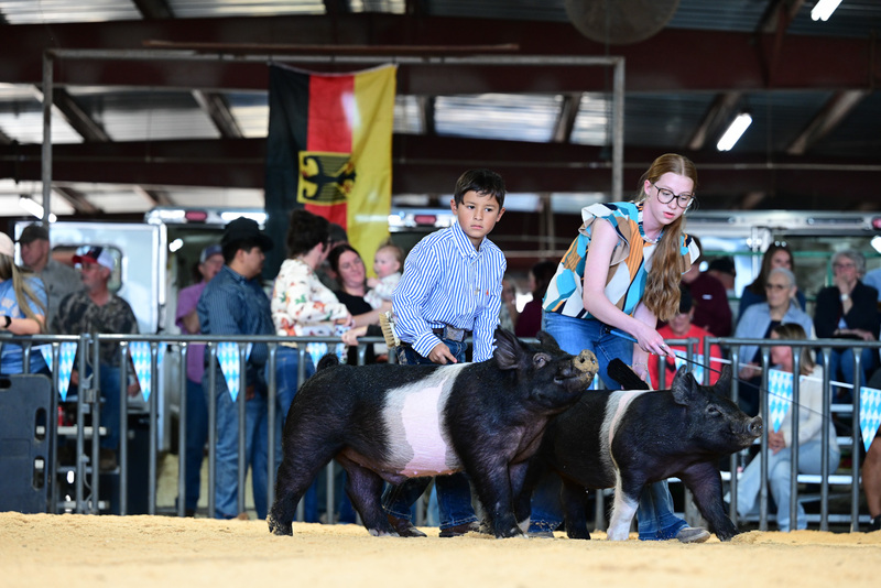 25GTT- RingAHamps-5077.jpg