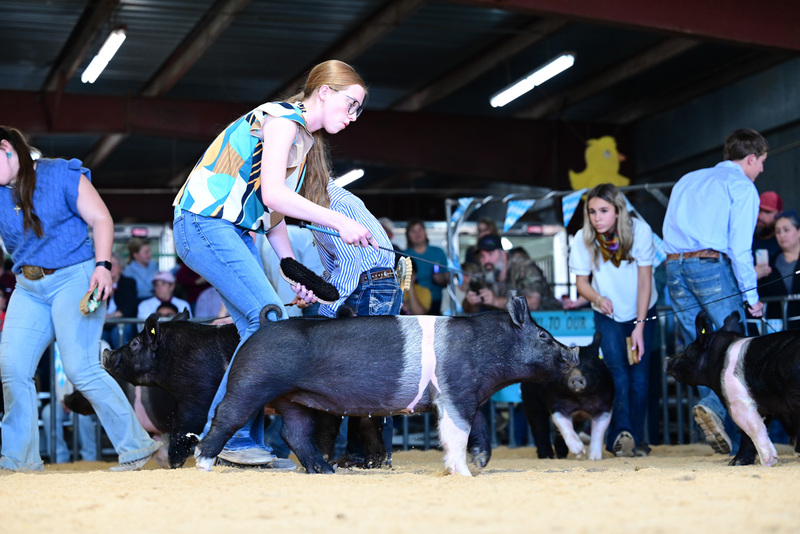 25GTT- RingAHamps-5080.jpg