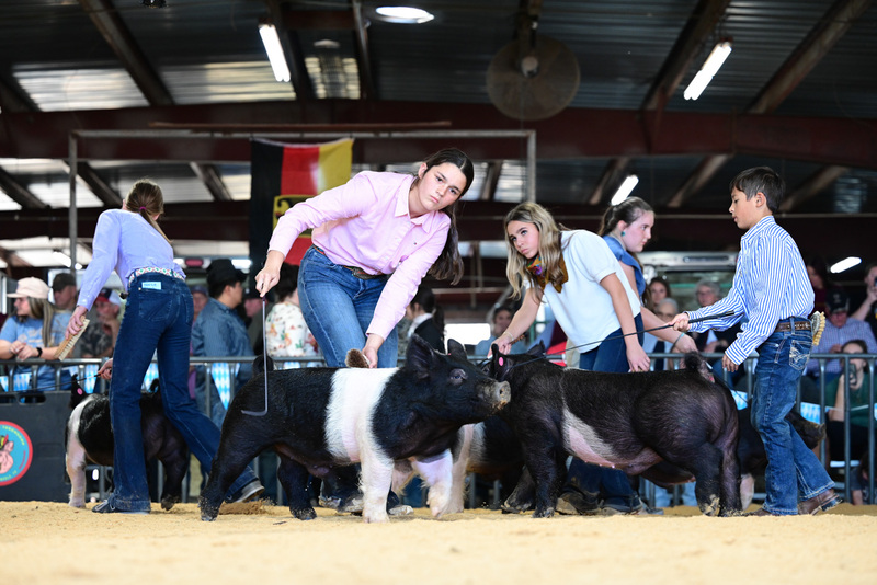 25GTT- RingAHamps-5081.jpg