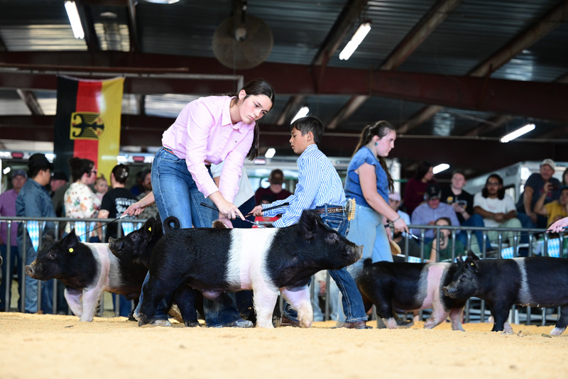 25GTT- RingAHamps-5082.jpg