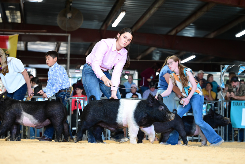 25GTT- RingAHamps-5083.jpg