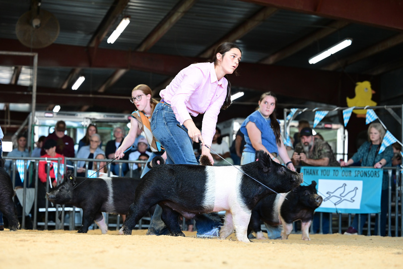 25GTT- RingAHamps-5084.jpg