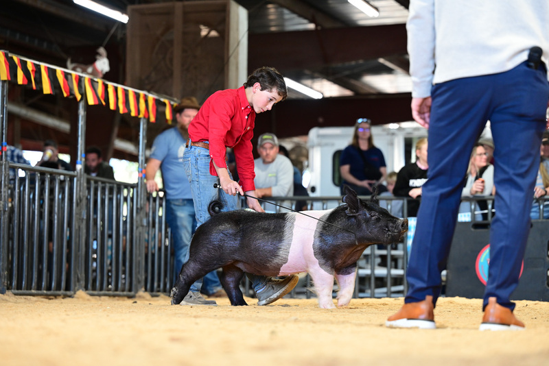 25GTT- RingAHamps-5086.jpg