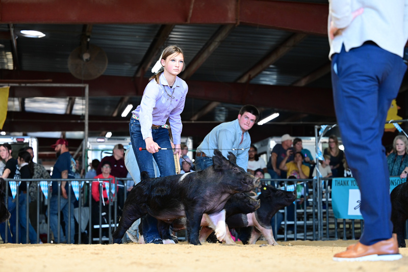 25GTT- RingAHamps-5087.jpg