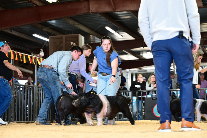 25GTT- RingAHamps-5088.jpg