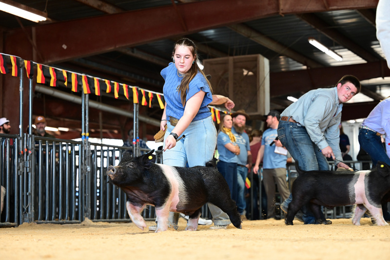 25GTT- RingAHamps-5090.jpg