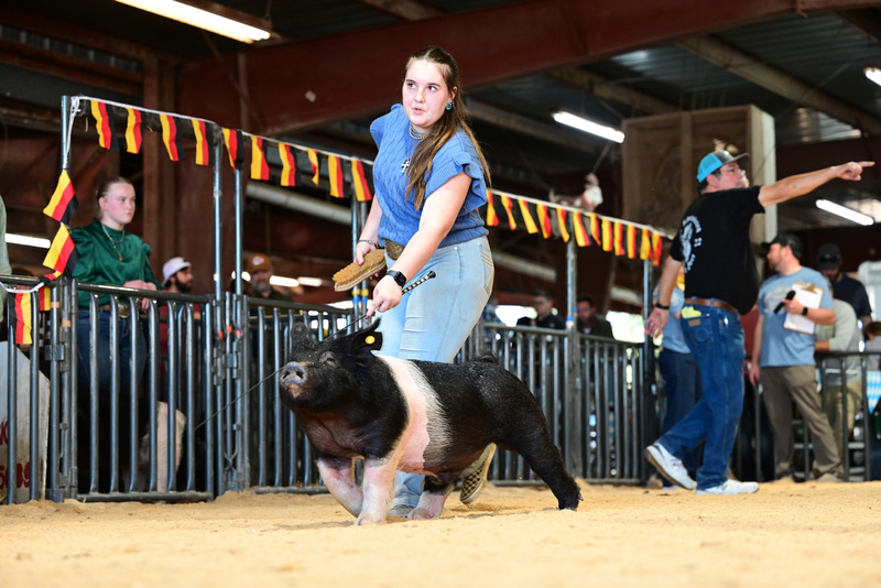 25GTT- RingAHamps-5091.jpg